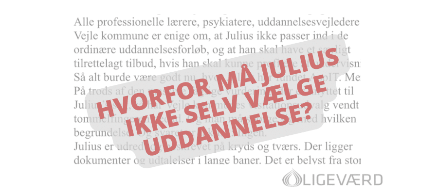 Vejle Kommune spænder ben for Julius’ fremtid